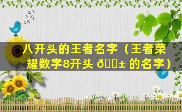 八开头的王者名字（王者荣耀数字8开头 🐱 的名字）